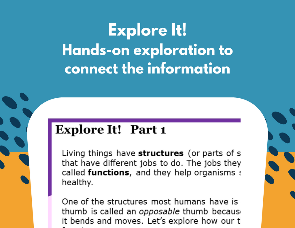 Structures & Functions - Student-Led Station Lab - 4th Grade