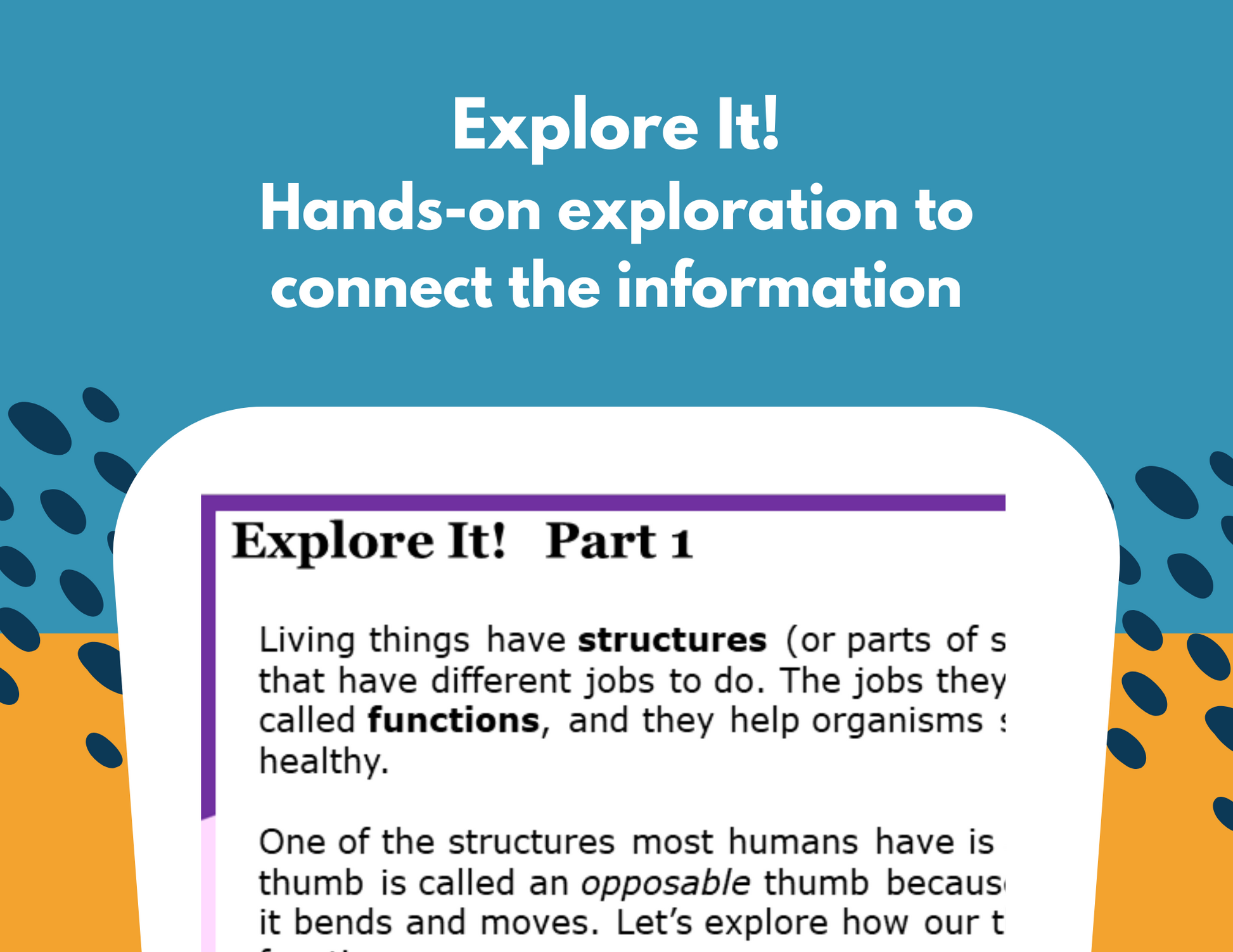 Structures & Functions - Student-Led Station Lab - 4th Grade