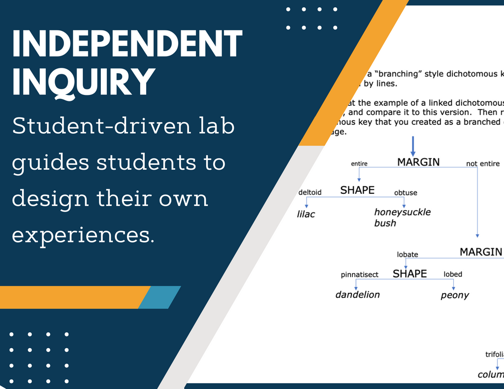 Dichotomous Key Worksheets Inquiry Lab - MS 6-8 Science TEKS