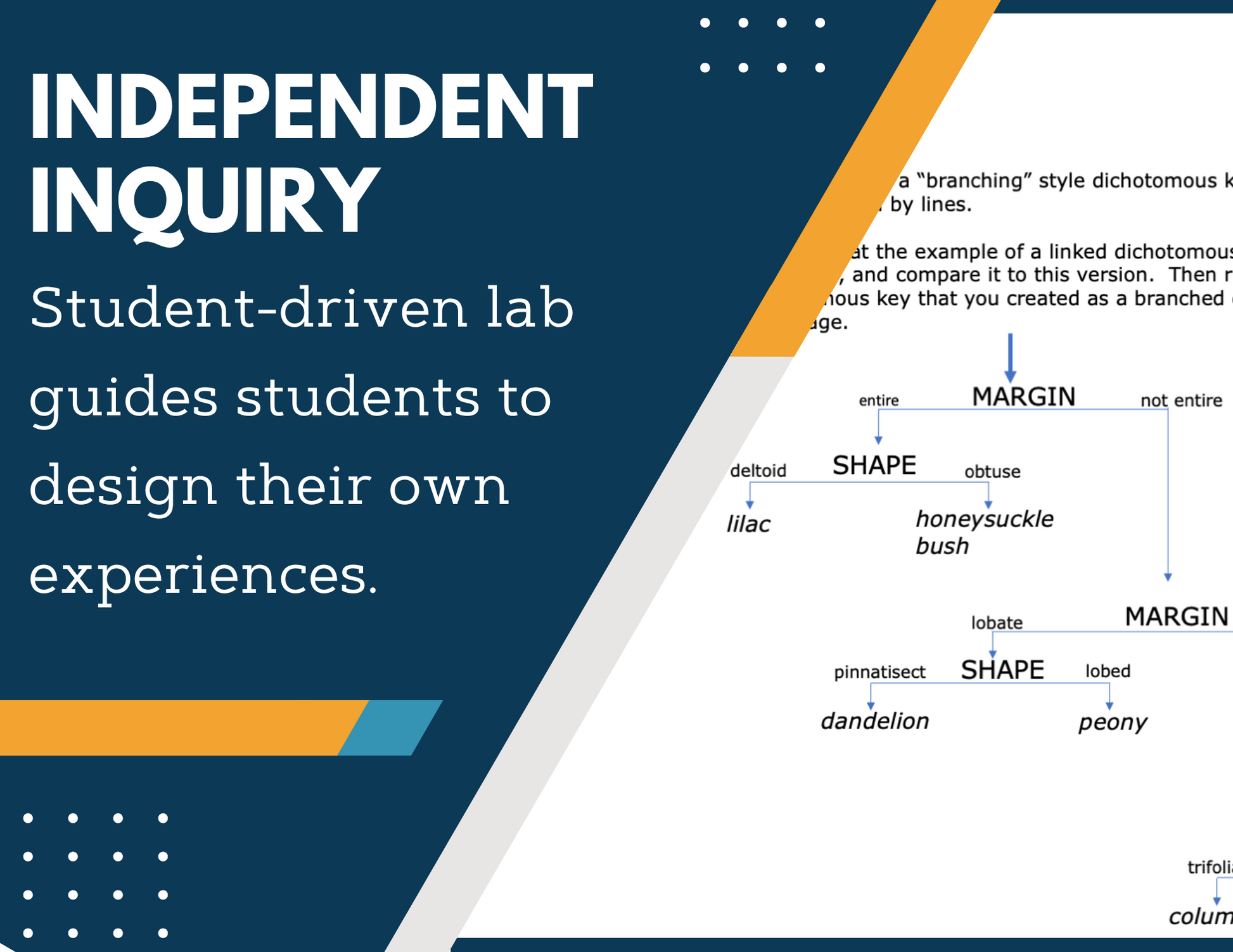 Dichotomous Key Worksheets Inquiry Lab - MS 6-8 Science TEKS