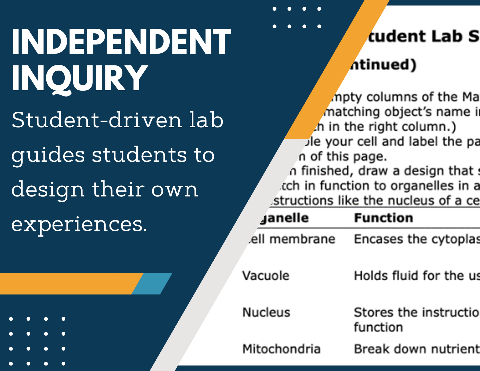 Cell Functions Inquiry Lab - MS 6-8 Science TEKS