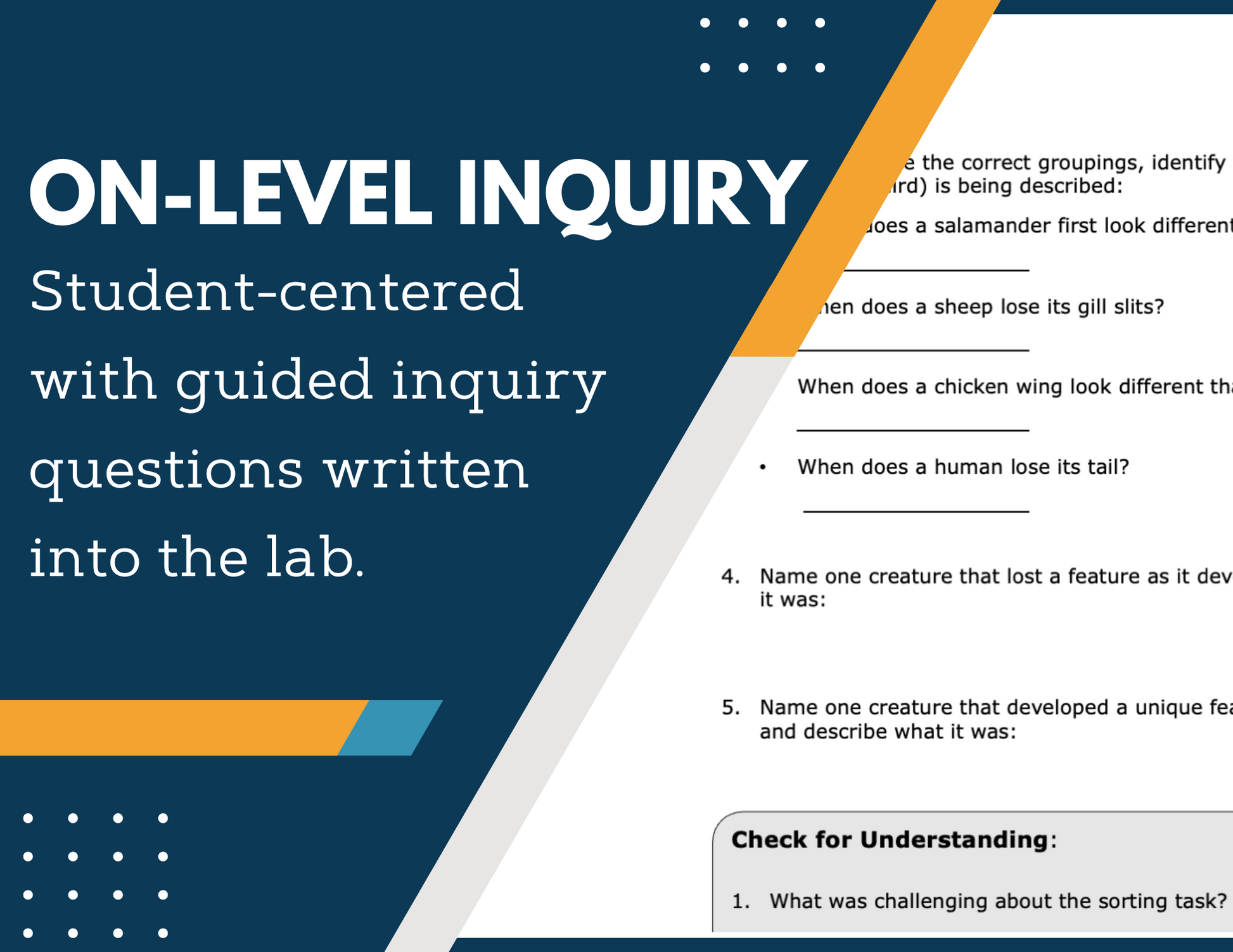 Comparative Embryology Inquiry Lab - NGSS MS LS4-3