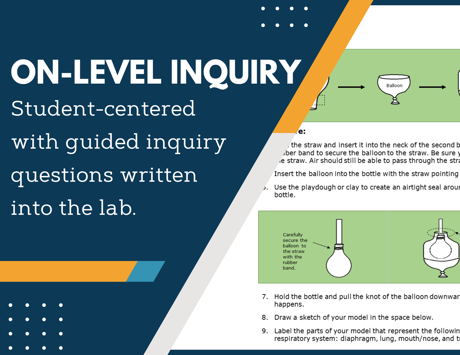 Body Systems Bundle - Print Inquiry Labs with CER - Grades 6-8