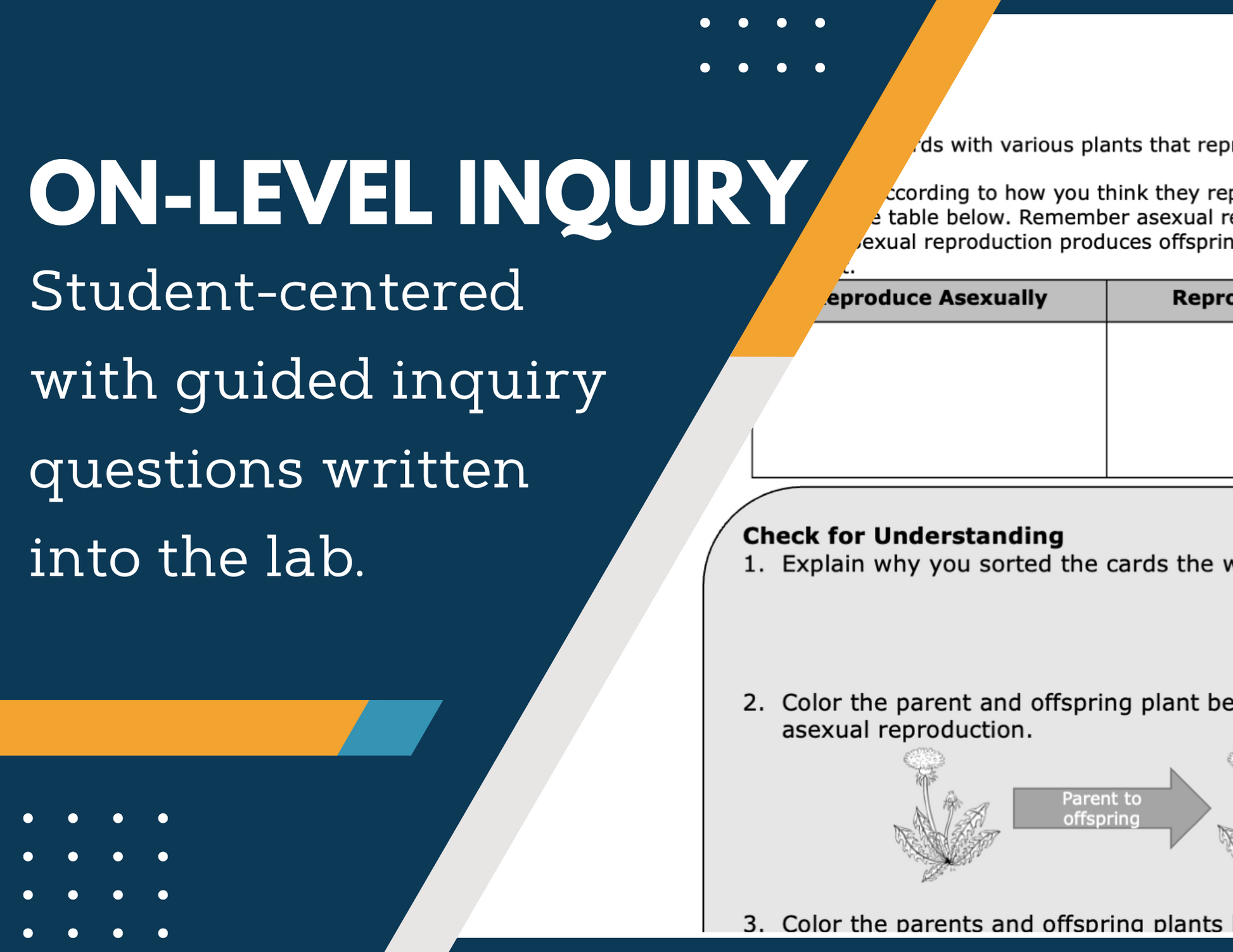 Genetic Variation Inquiry Lab - NGSS MS LS4-4