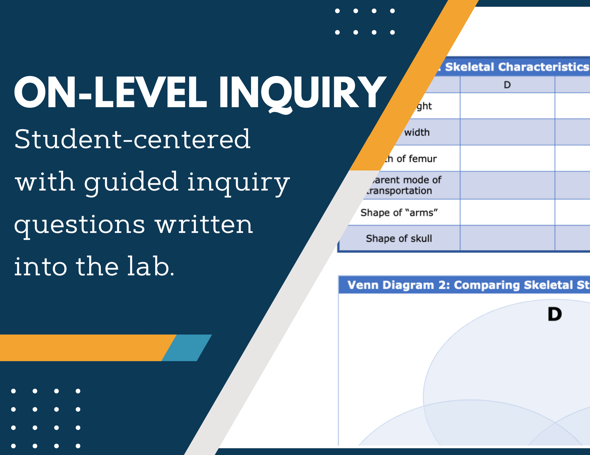 Comparing Skeletal Structures Inquiry Lab - NGSS MS LS4-2