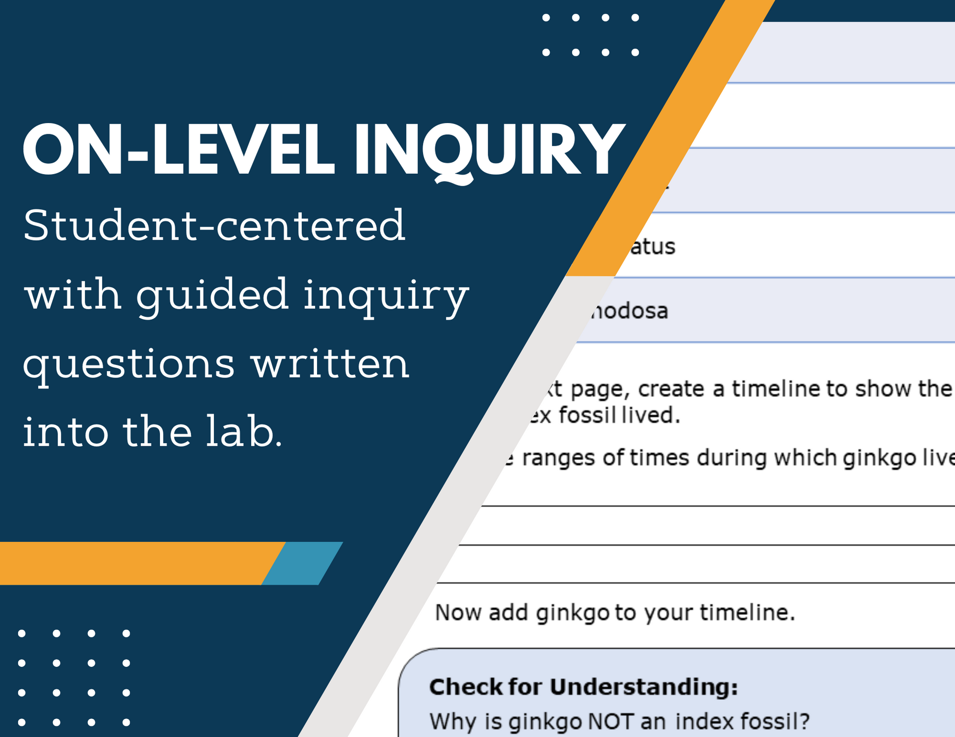 Geologic Time Scale Inquiry Lab - NGSS MS ESS1-4