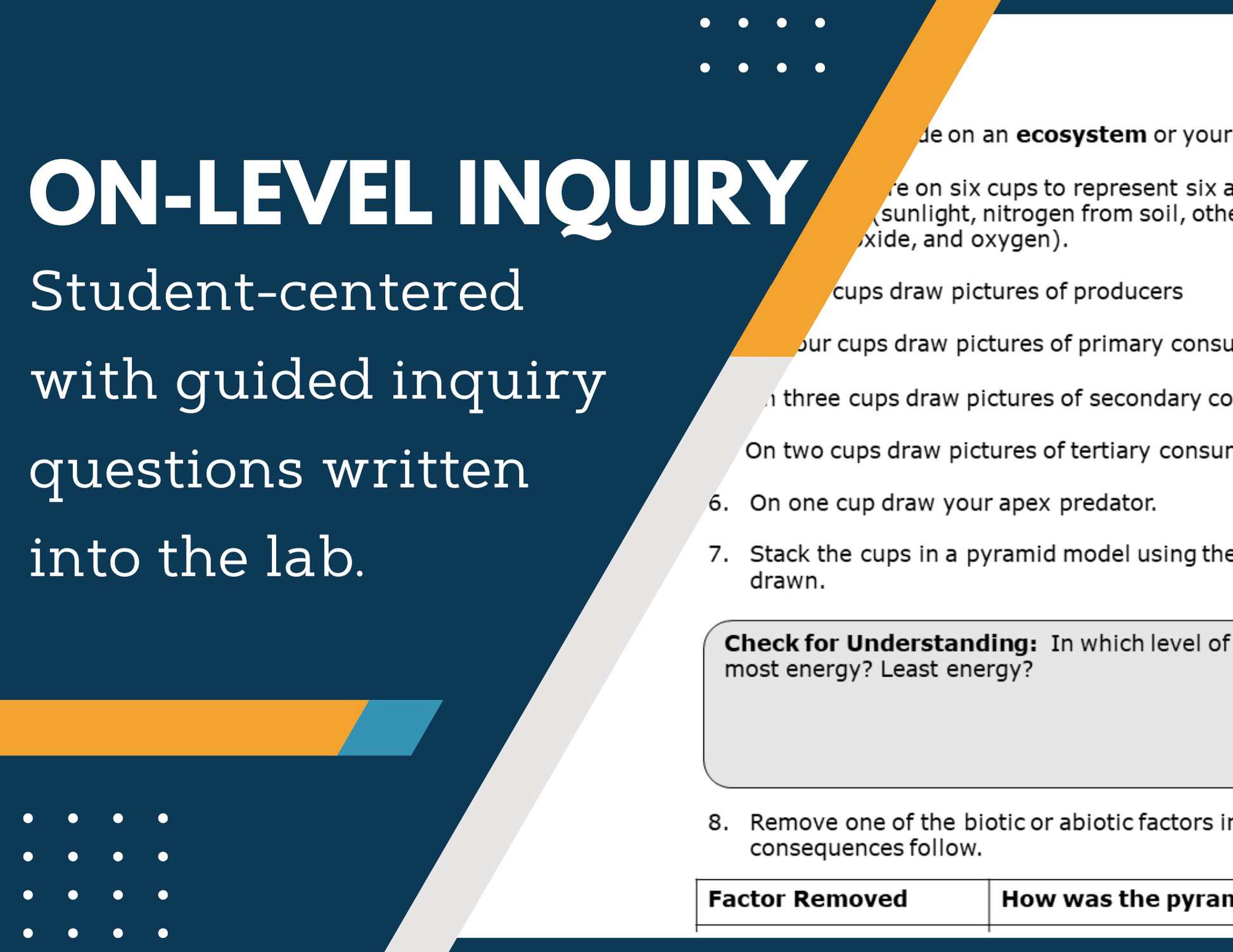 Energy Pyramids & Energy Flow Inquiry Lab - NGSS MS LS2-3