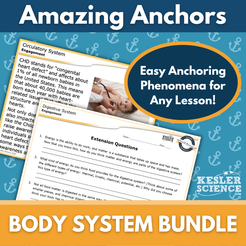 Amazing Anchors: Body Systems Bundle - MS 6-8