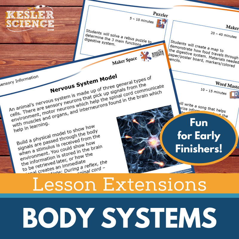 Lesson Extensions: Body Systems