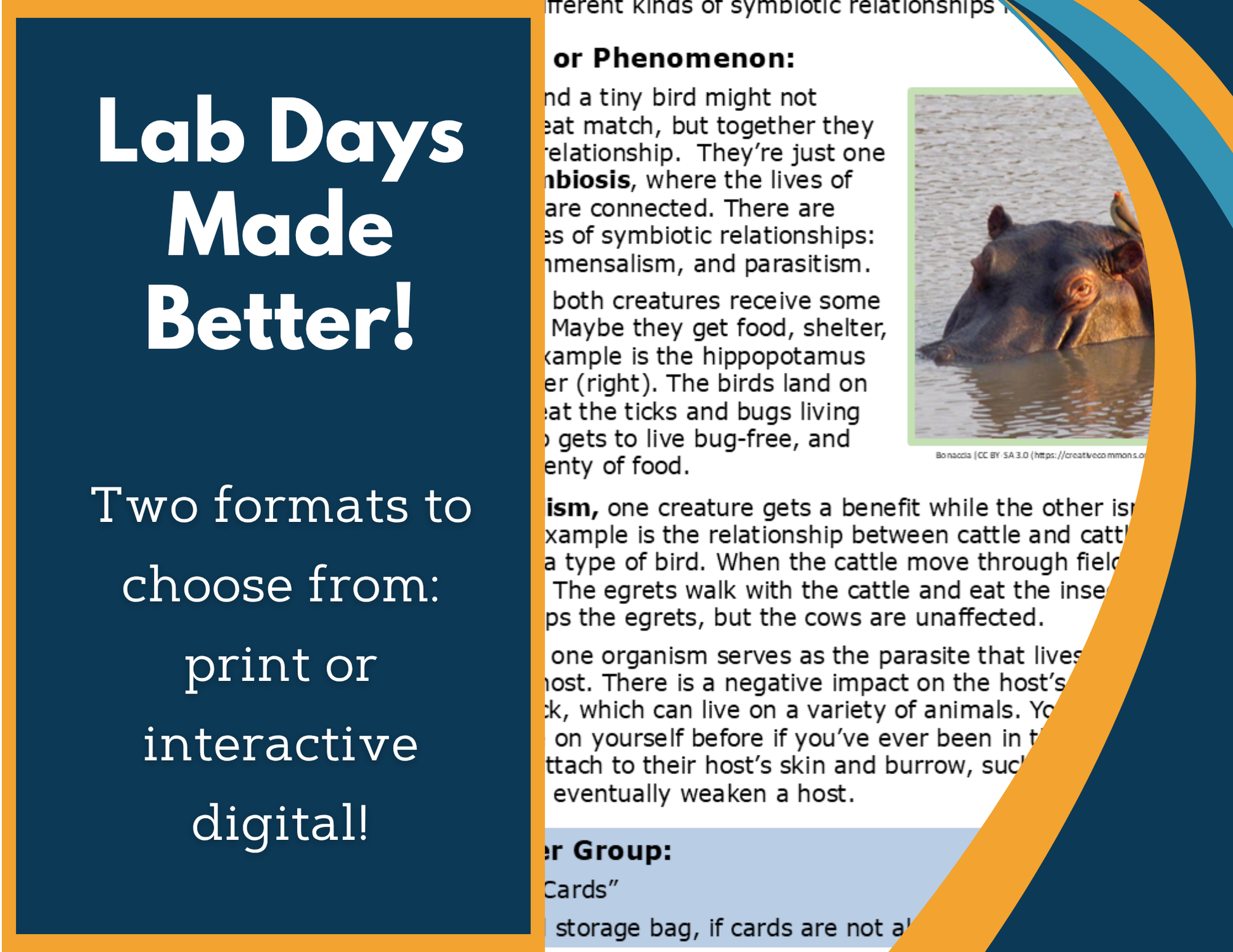 Symbiosis Digital Inquiry Lab - MS 6-8