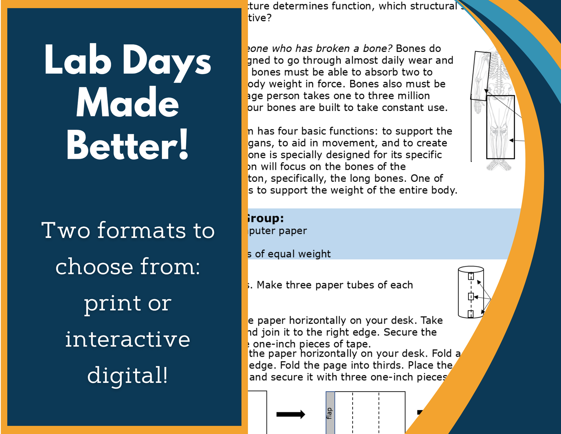 Skeletal System Digital Inquiry Lab - MS 6-8