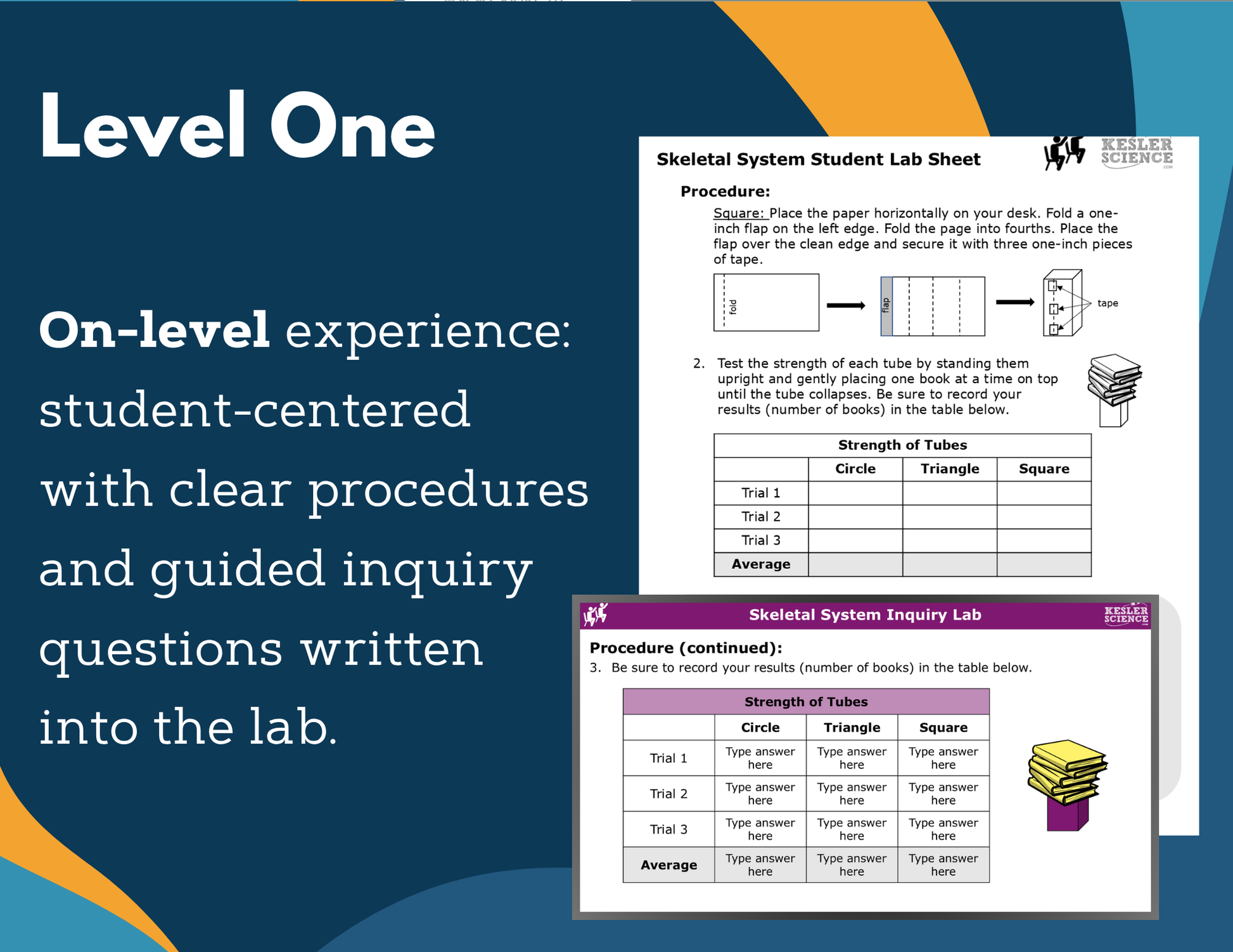 Skeletal System Digital Inquiry Lab - MS 6-8
