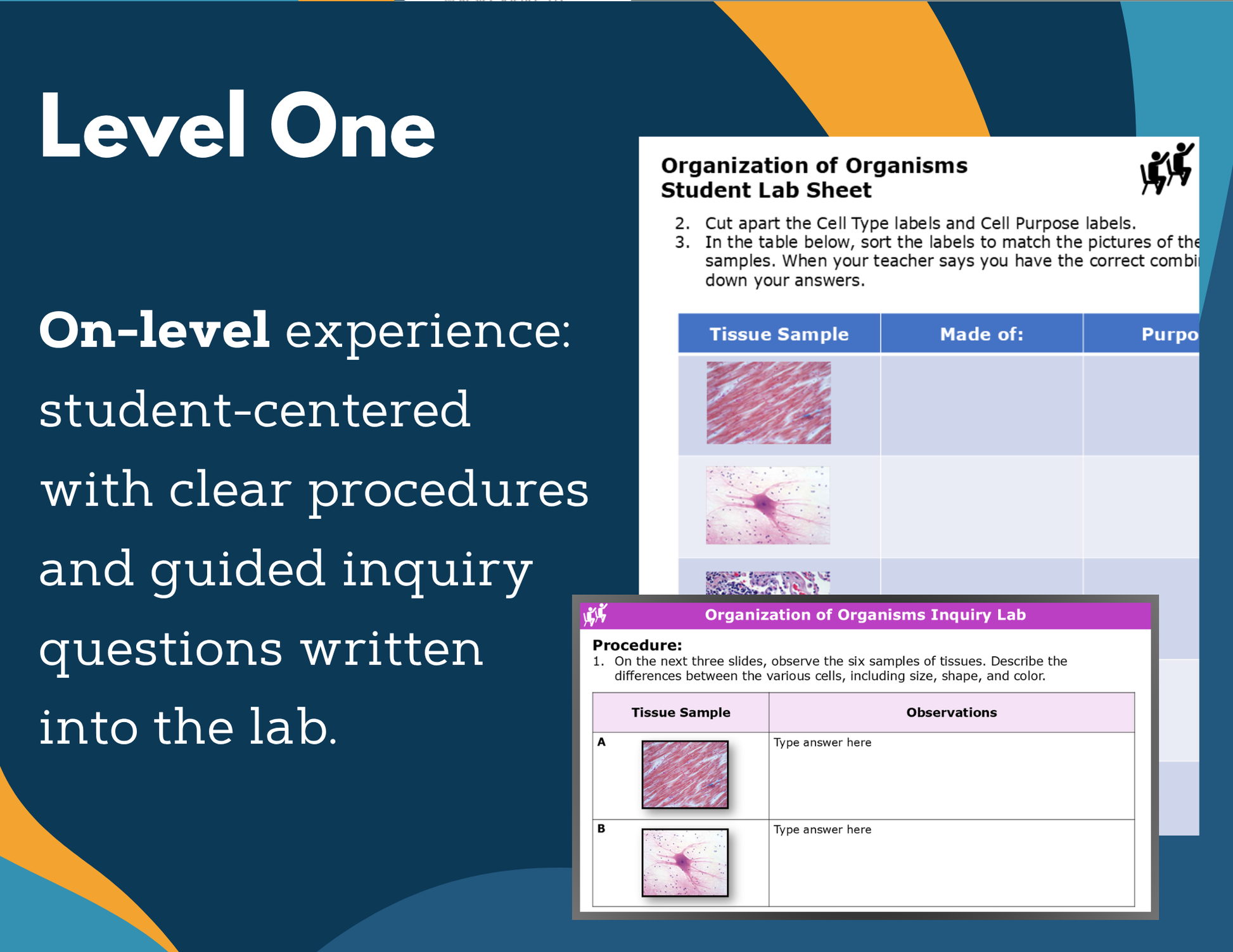 Organization of Organisms Digital Inquiry Lab - NGSS MS LS1-3