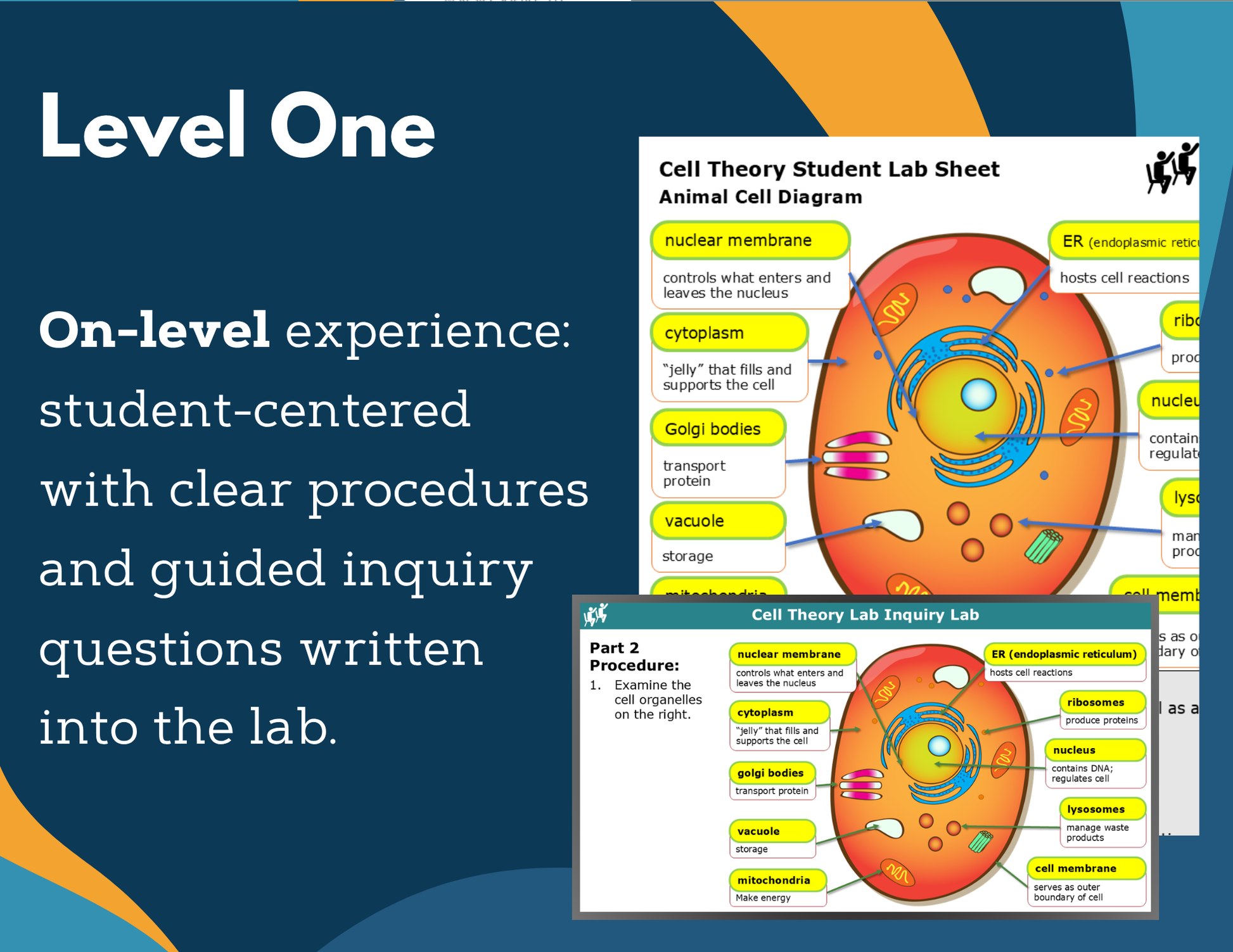 Cell Theory Digital Inquiry Lab - NGSS MS LS1-1