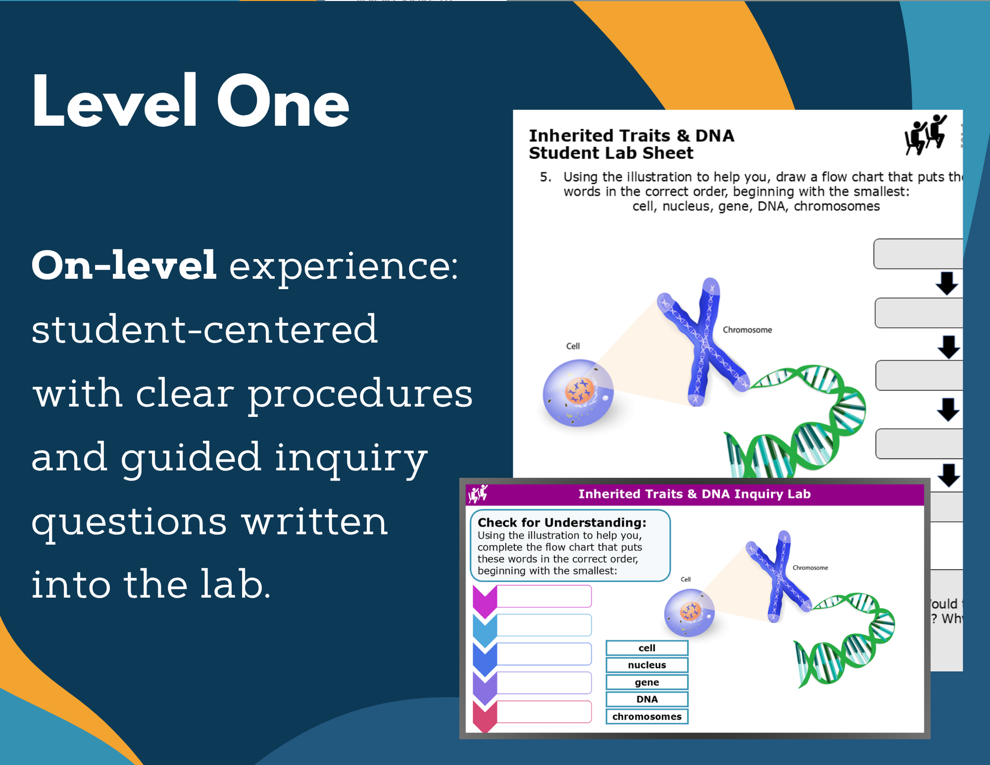 Inherited Traits & DNA Digital Inquiry Lab - MS 6-8