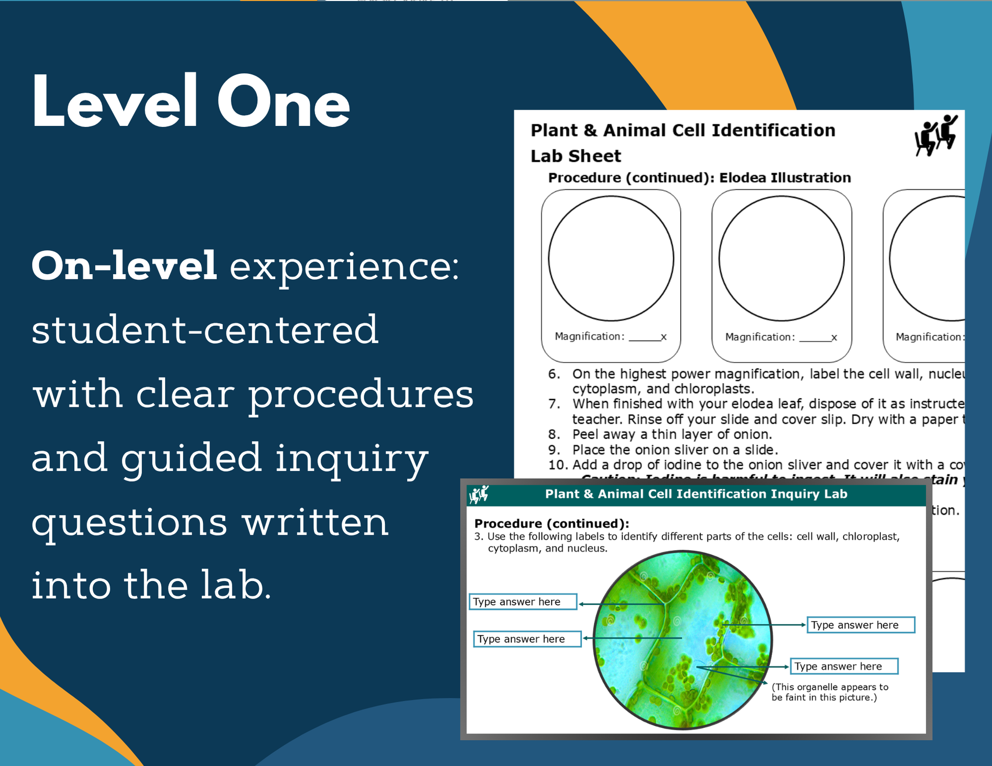 Plant & Animal Cell ID Digital Inquiry Lab - NGSS MS LS1-2