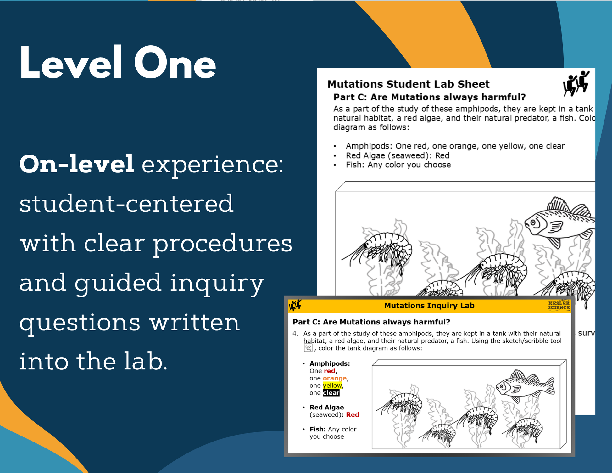 Mutations Digital Inquiry Lab &  - NGSS MS LS3-1