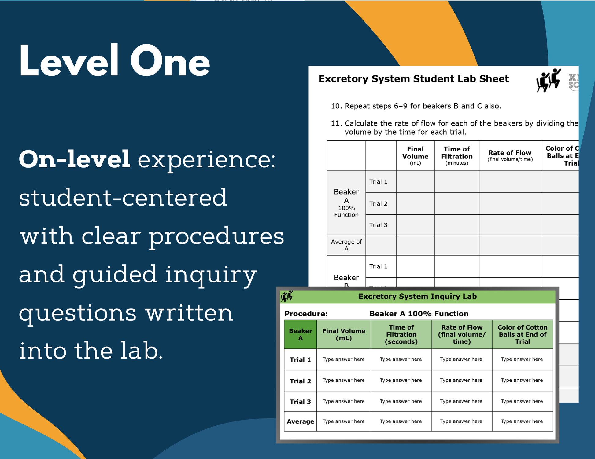 Excretory System Digital Inquiry Lab - MS 6-8
