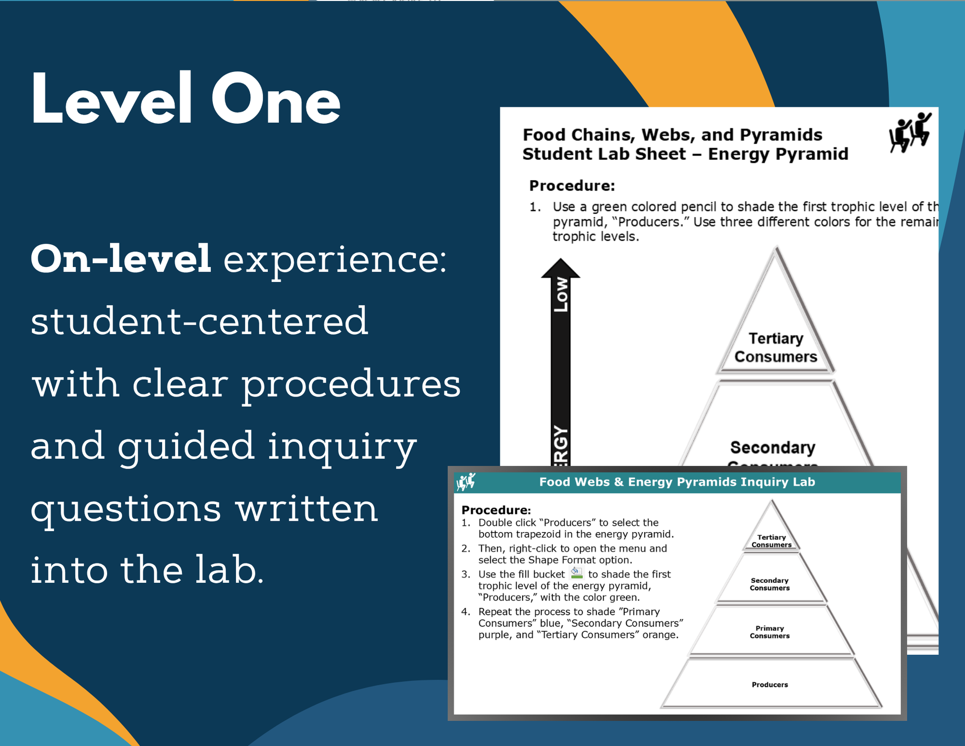 Food Webs & Energy Pyramids Digital Inquiry Lab - NGSS MS LS1-6