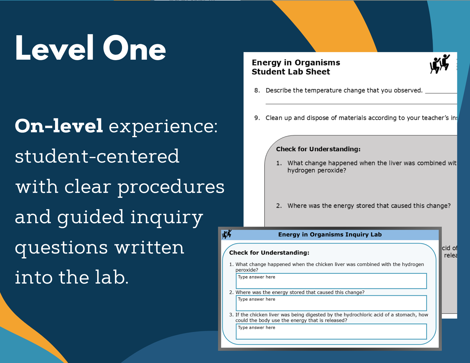 Energy in Organisms Digital Inquiry Lab - MS 6-8