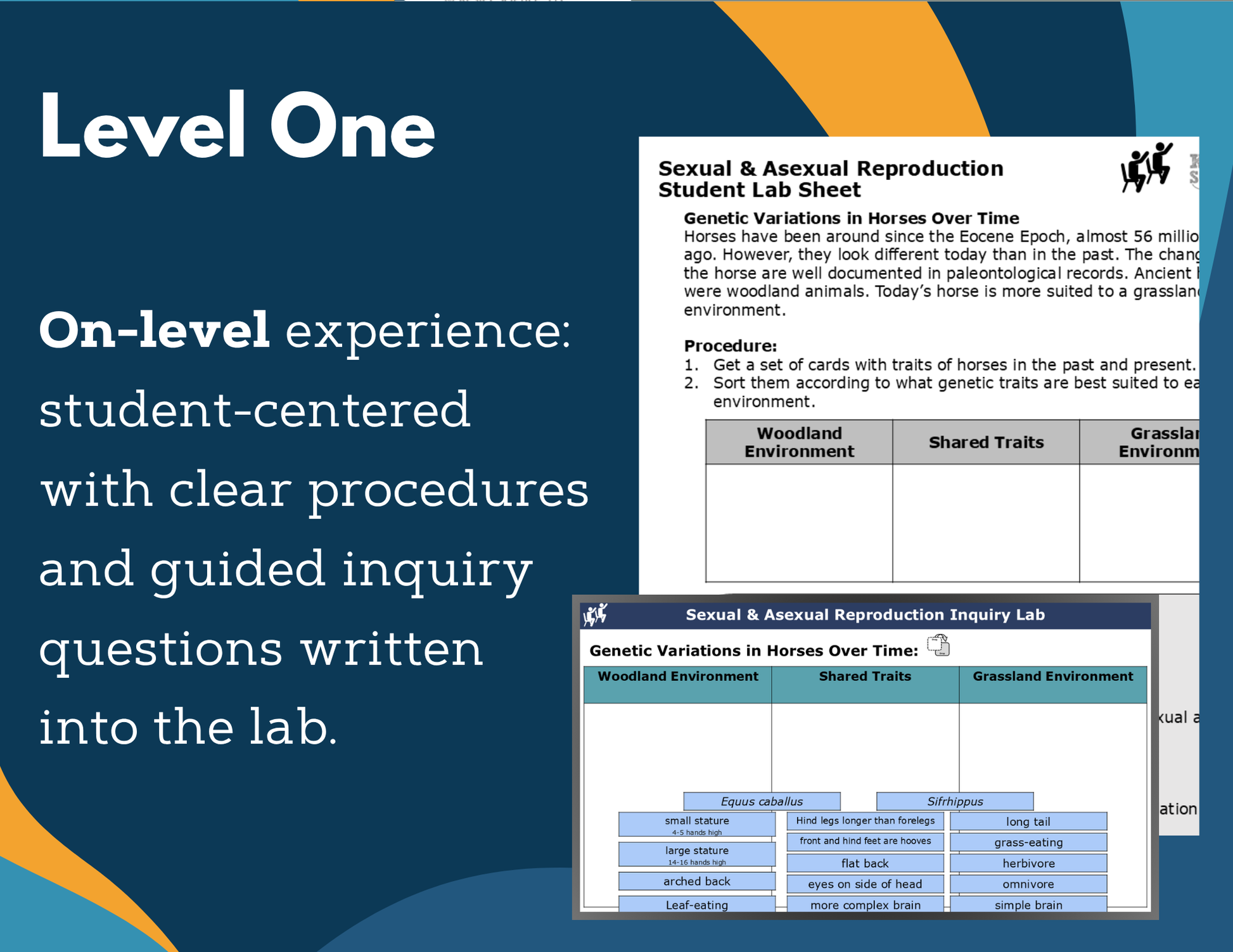 Sexual & Asexual Reproduction Digital Inquiry Lab - MS 6-8