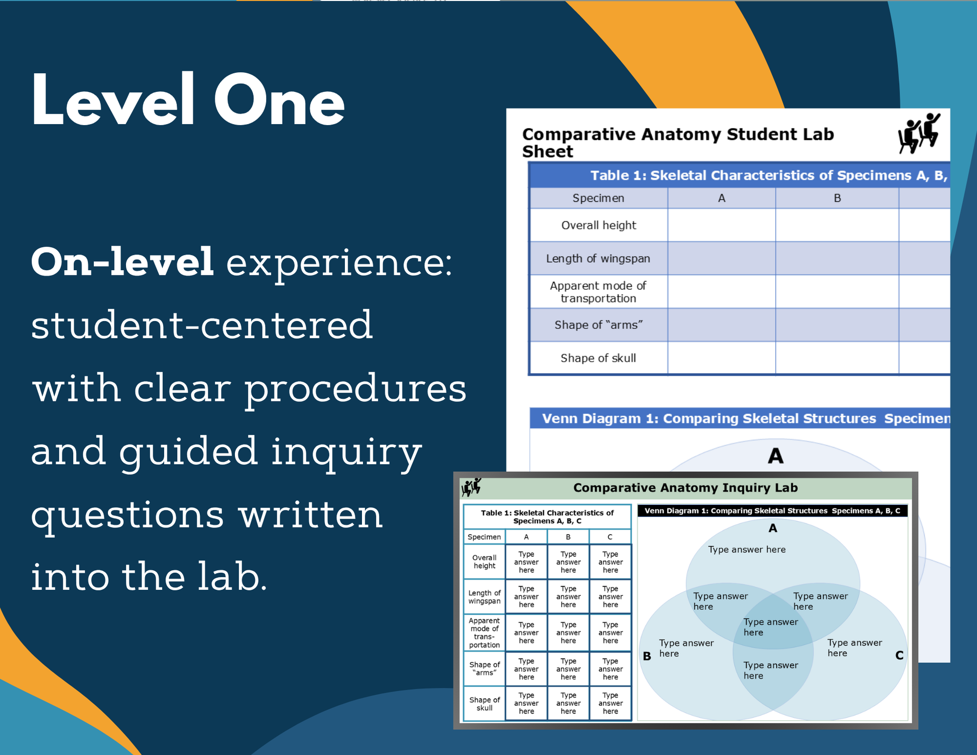 Comparative Anatomy Digital Inquiry Lab - NGSS MS LS4-2