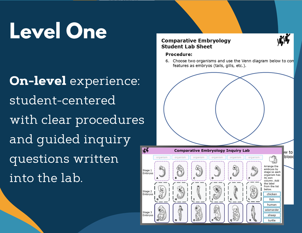Comparative Embryology Digital Inquiry Lab - NGSS MS LS4-3