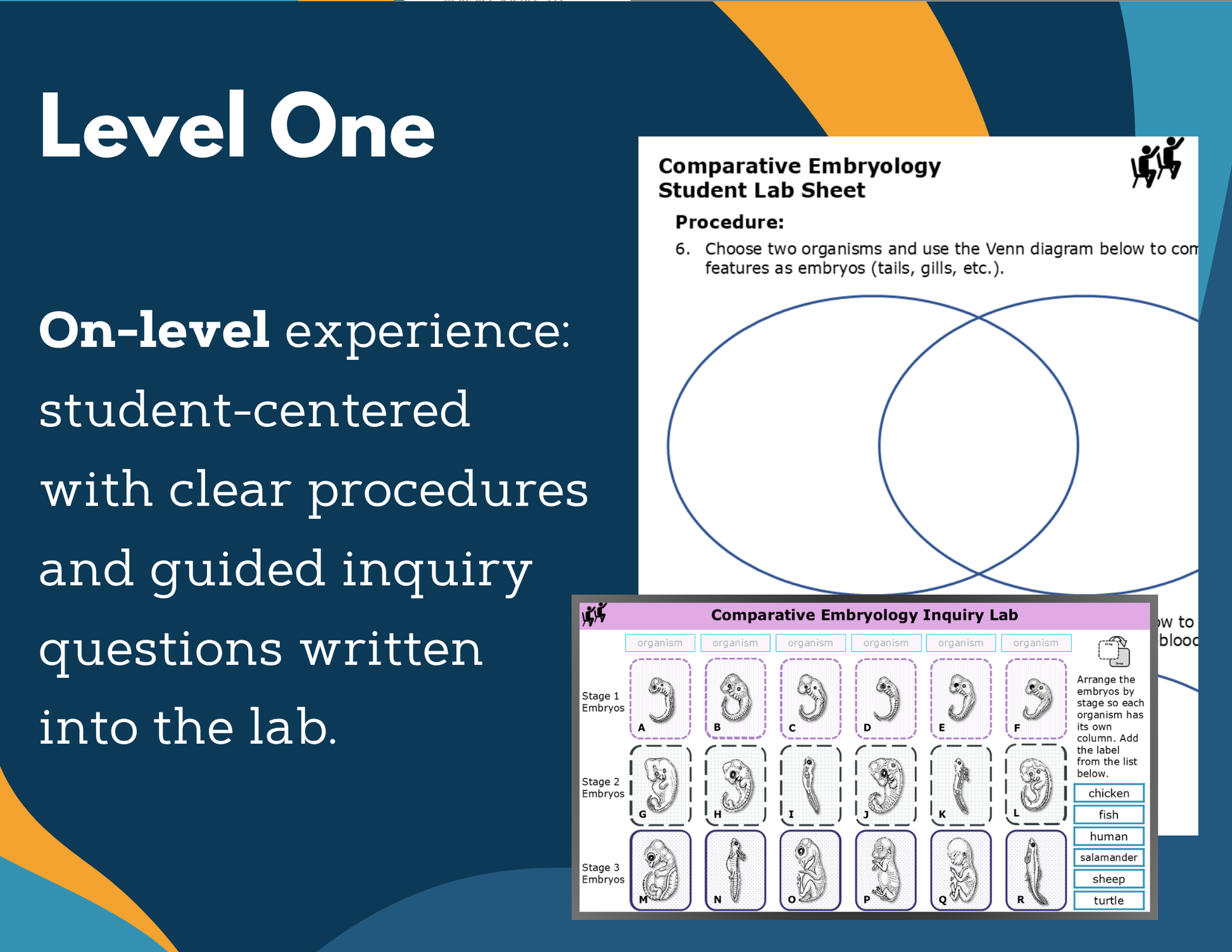 Comparative Embryology Digital Inquiry Lab - NGSS MS LS4-3