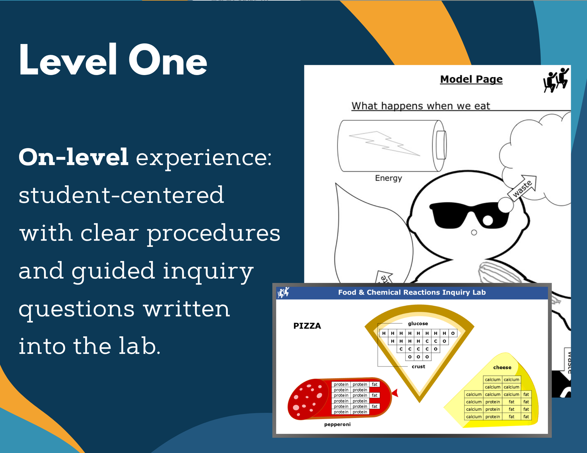 Food & Chemical Reactions Digital Inquiry Lab - NGSS MS LS1-7