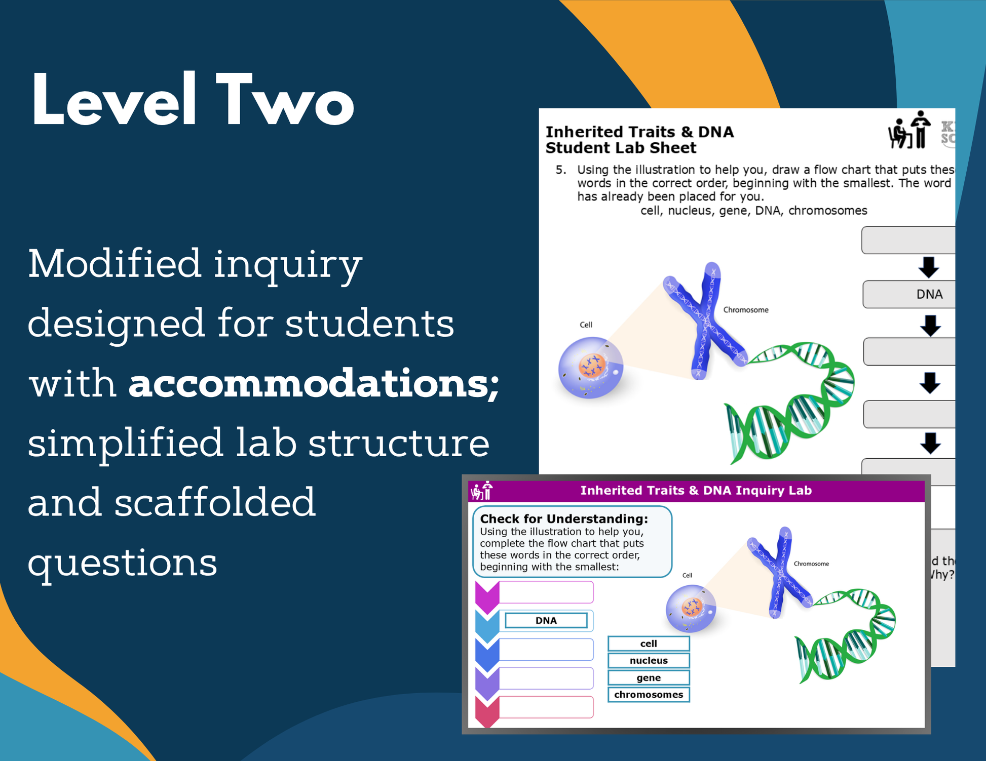 Inherited Traits & DNA Digital Inquiry Lab - MS 6-8