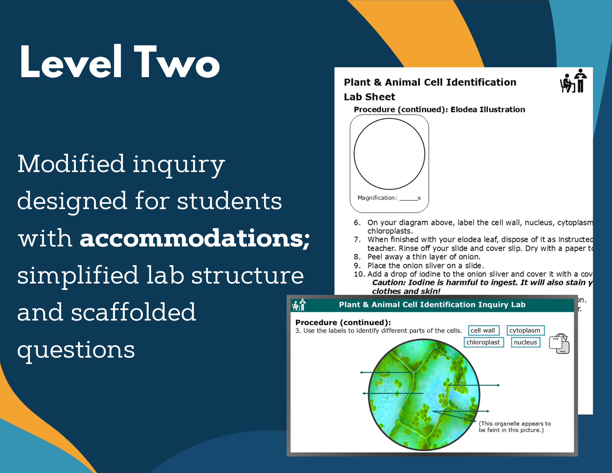 Plant & Animal Cell ID Digital Inquiry Lab - NGSS MS LS1-2