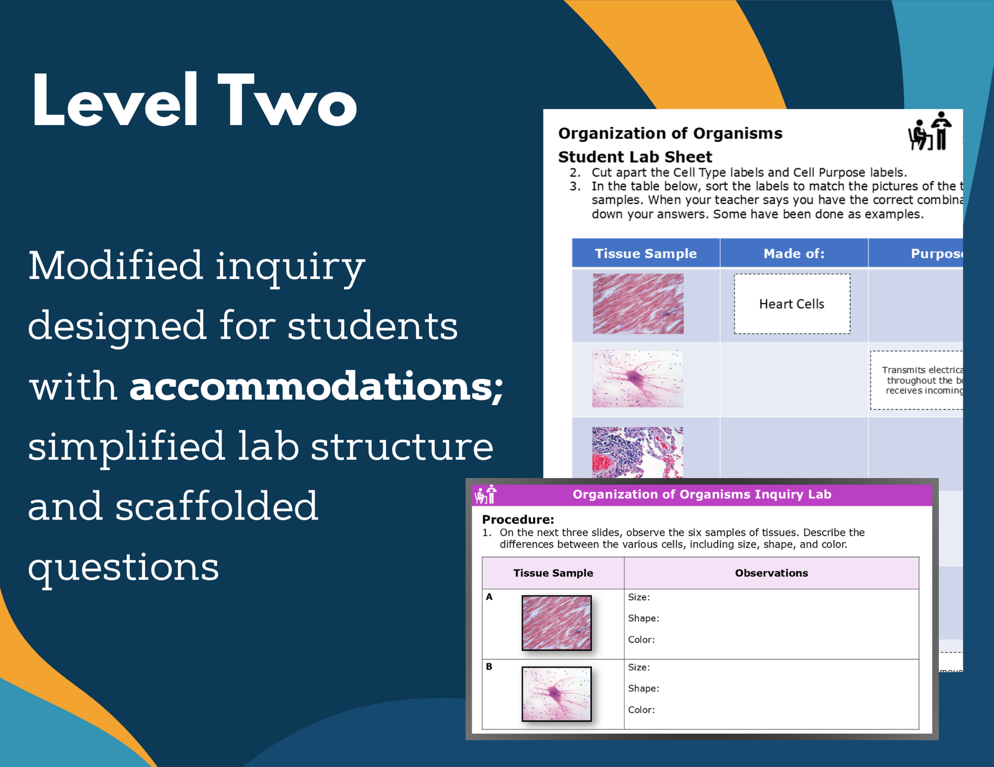 Organization of Organisms Digital Inquiry Lab - NGSS MS LS1-3