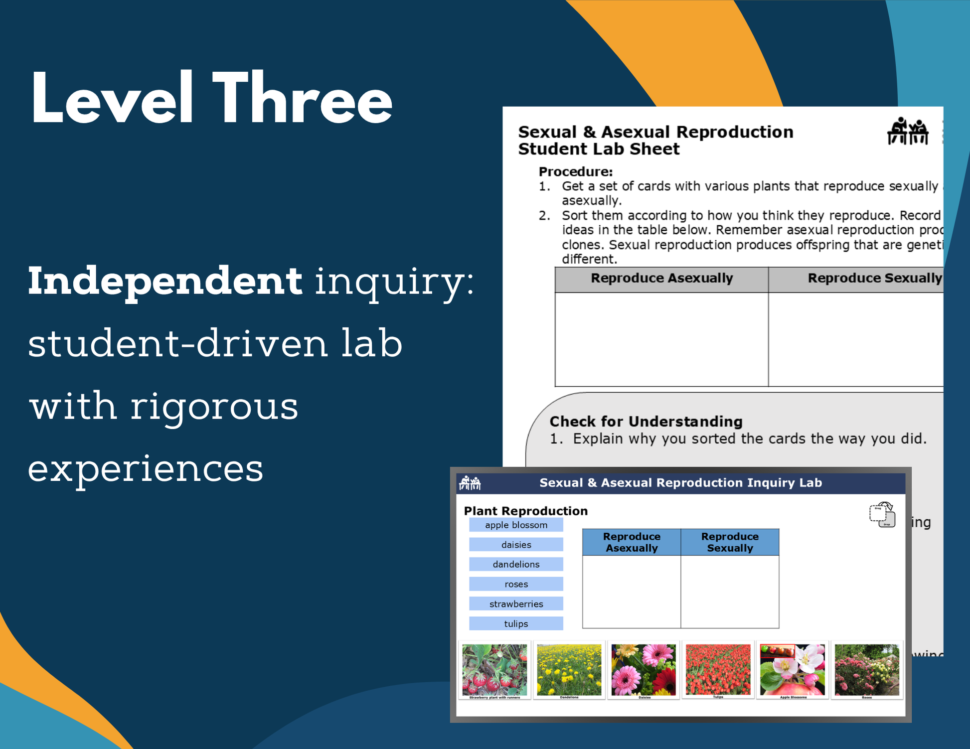 Sexual & Asexual Reproduction Digital Inquiry Lab - MS 6-8