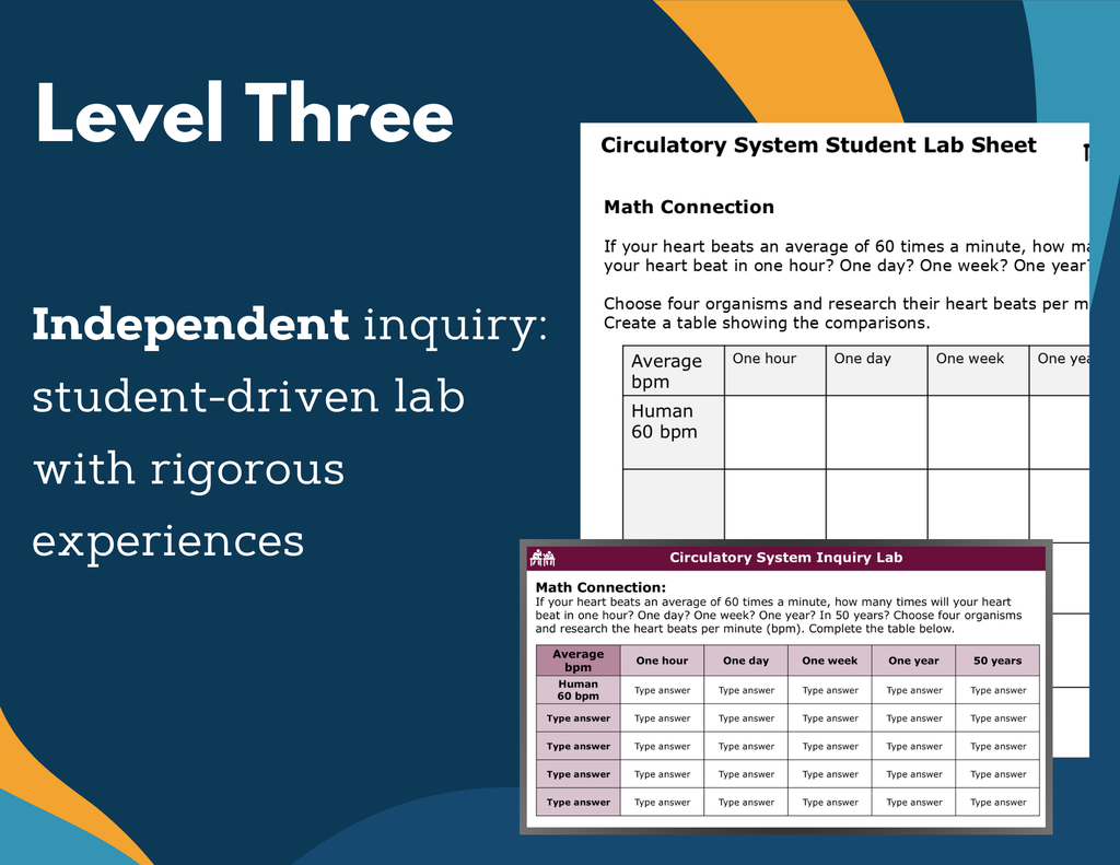 Circulatory System Digital Inquiry Lab - MS 6-8