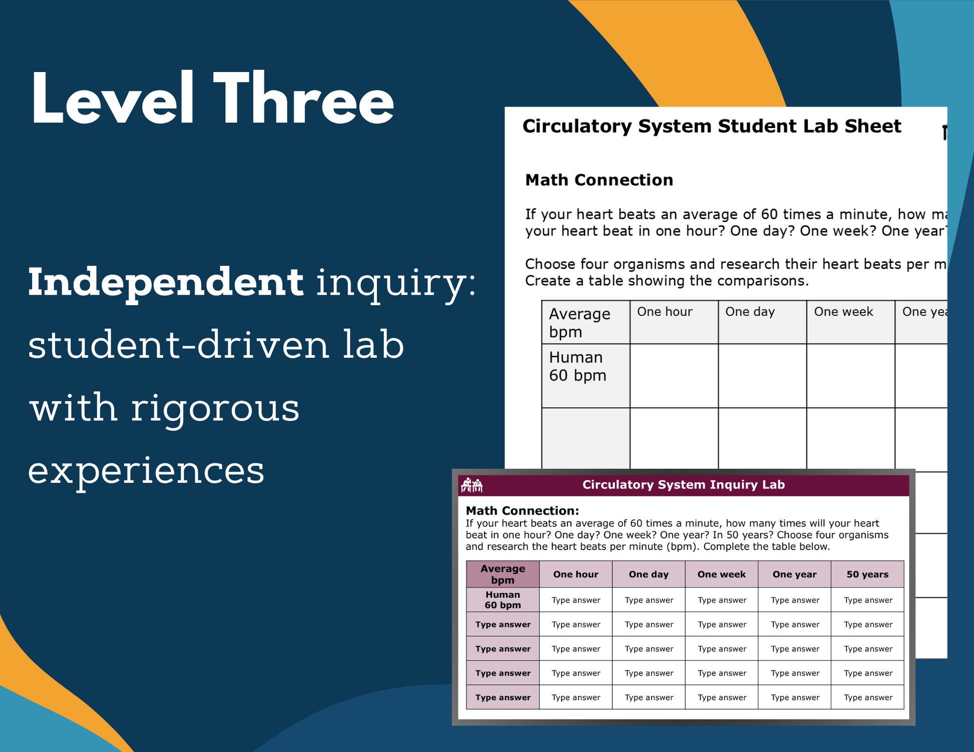Circulatory System Digital Inquiry Lab - MS 6-8