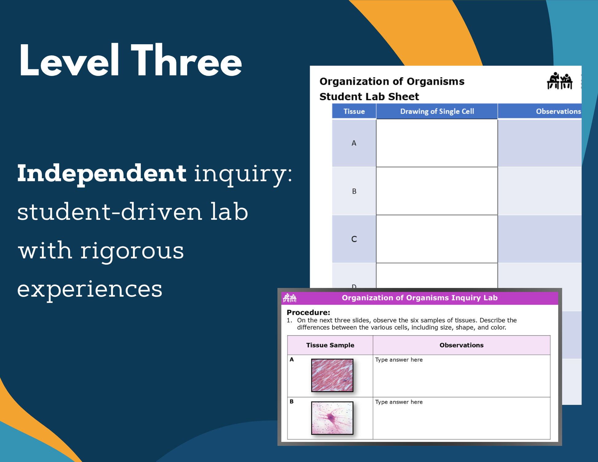 Organization of Organisms Digital Inquiry Lab - NGSS MS LS1-3