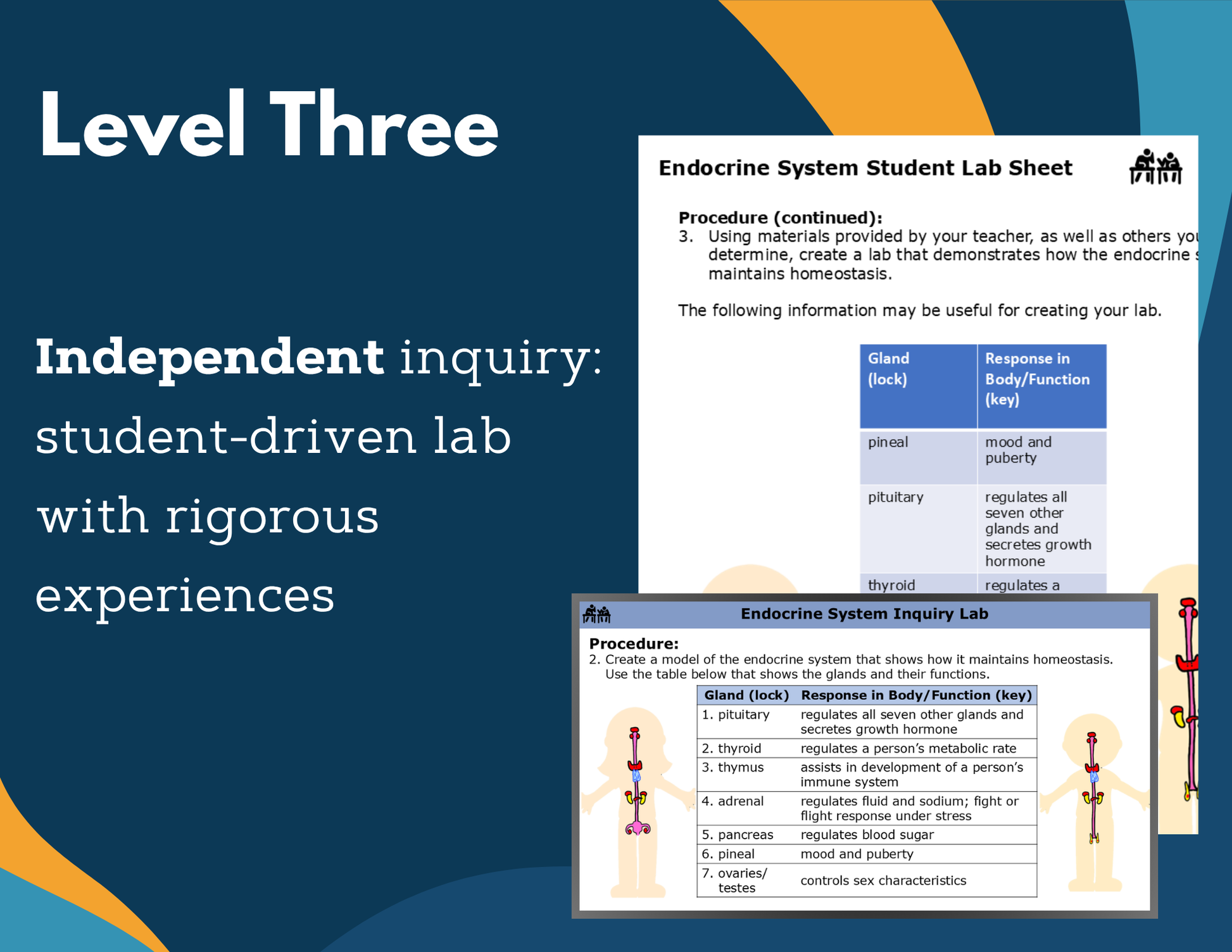 Endocrine System Digital Inquiry Lab - MS 6-8