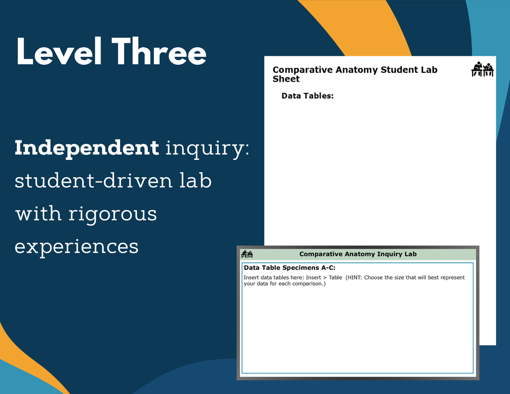Comparative Anatomy Digital Inquiry Lab - NGSS MS LS4-2
