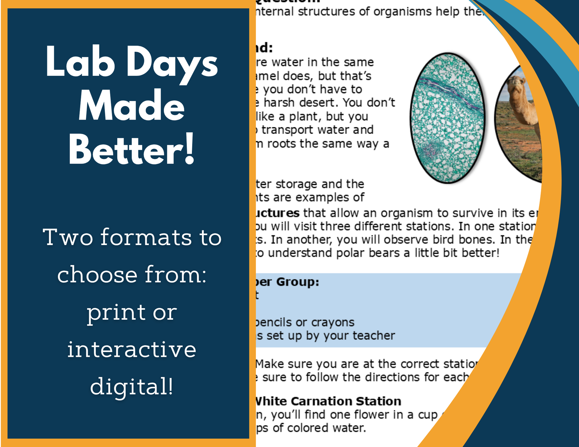 Internal Adaptations Digital Inquiry Lab - MS 6-8