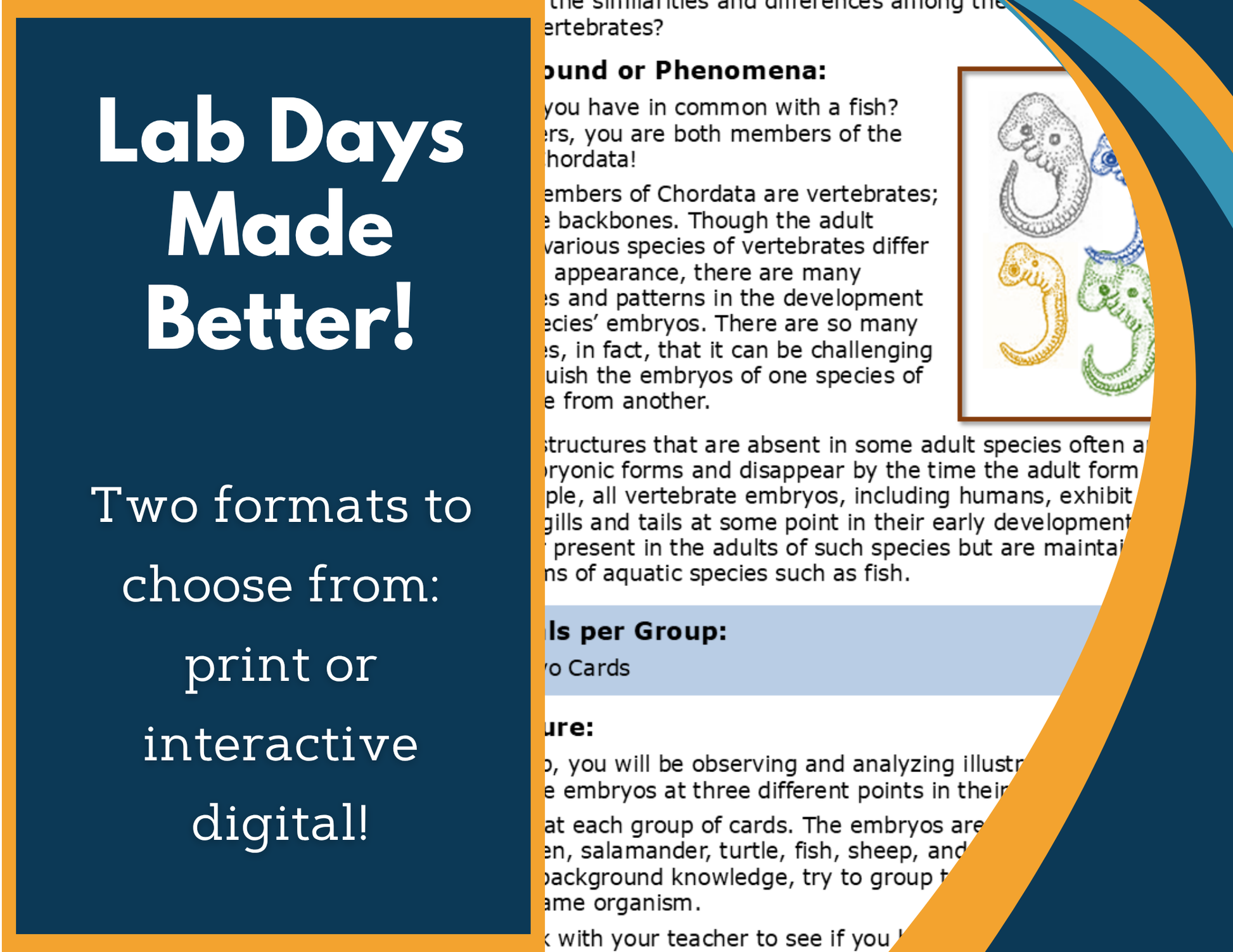 Comparative Embryology Digital Inquiry Lab - NGSS MS LS4-3