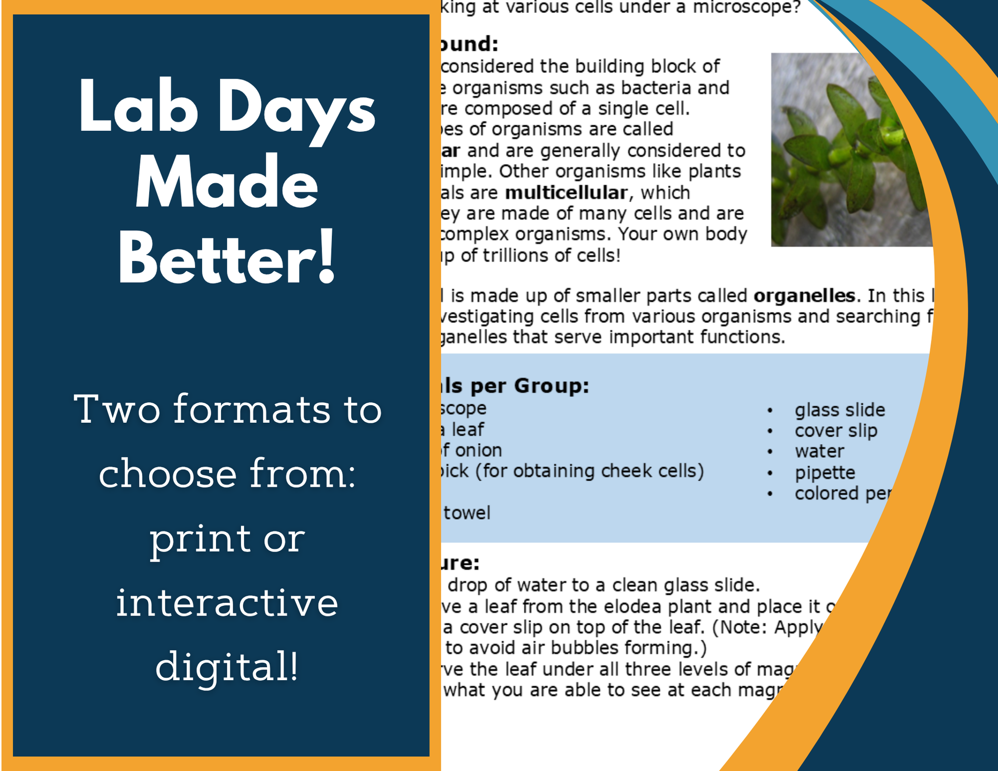 Plant & Animal Cell ID Digital Inquiry Lab - NGSS MS LS1-2