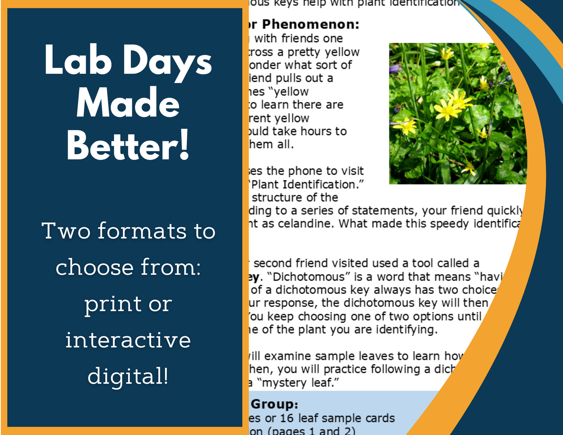 Dichotomous Keys Digital Inquiry Lab - MS 6-8