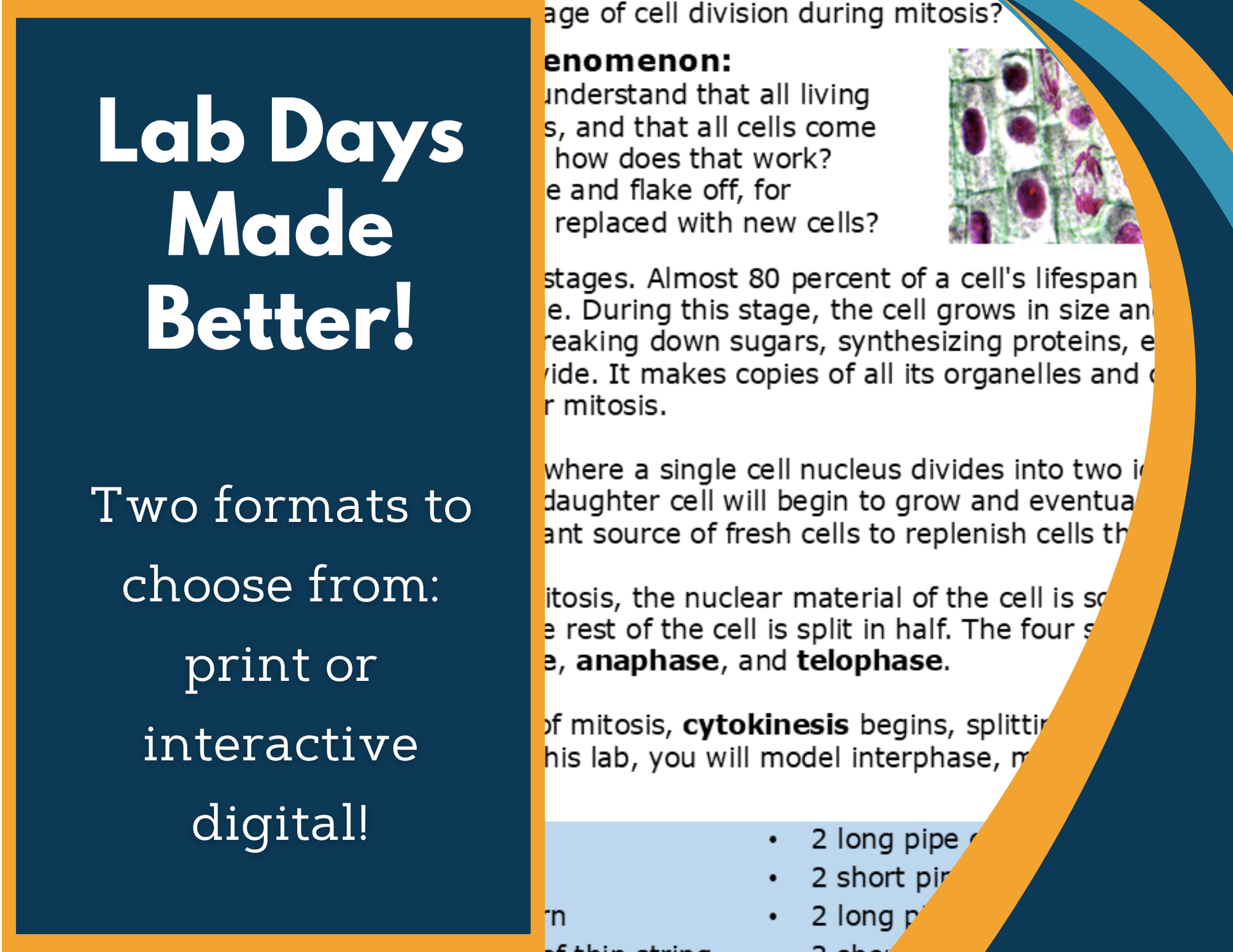 Mitosis Digital Inquiry Lab - MS 6-8