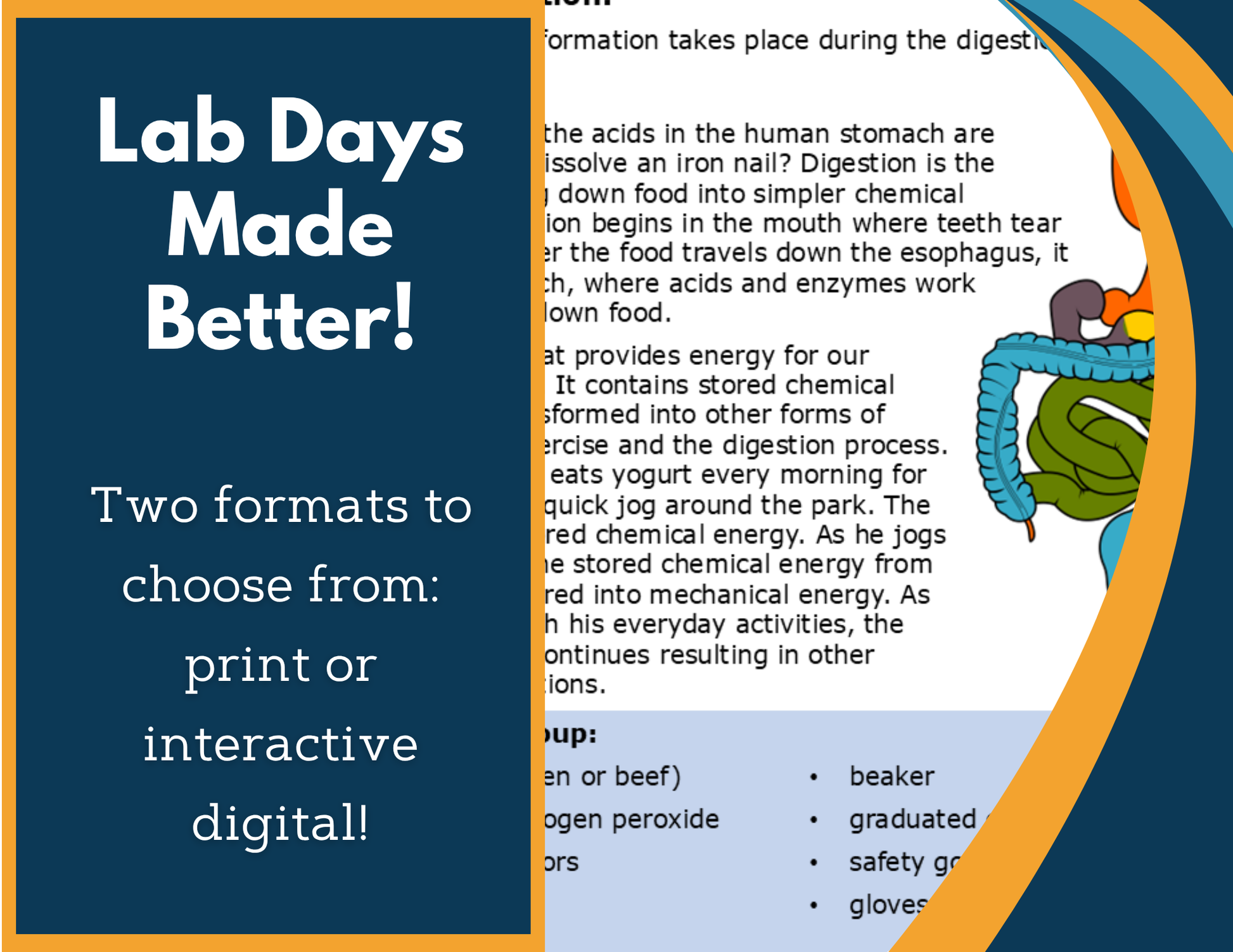 Energy in Organisms Digital Inquiry Lab - MS 6-8
