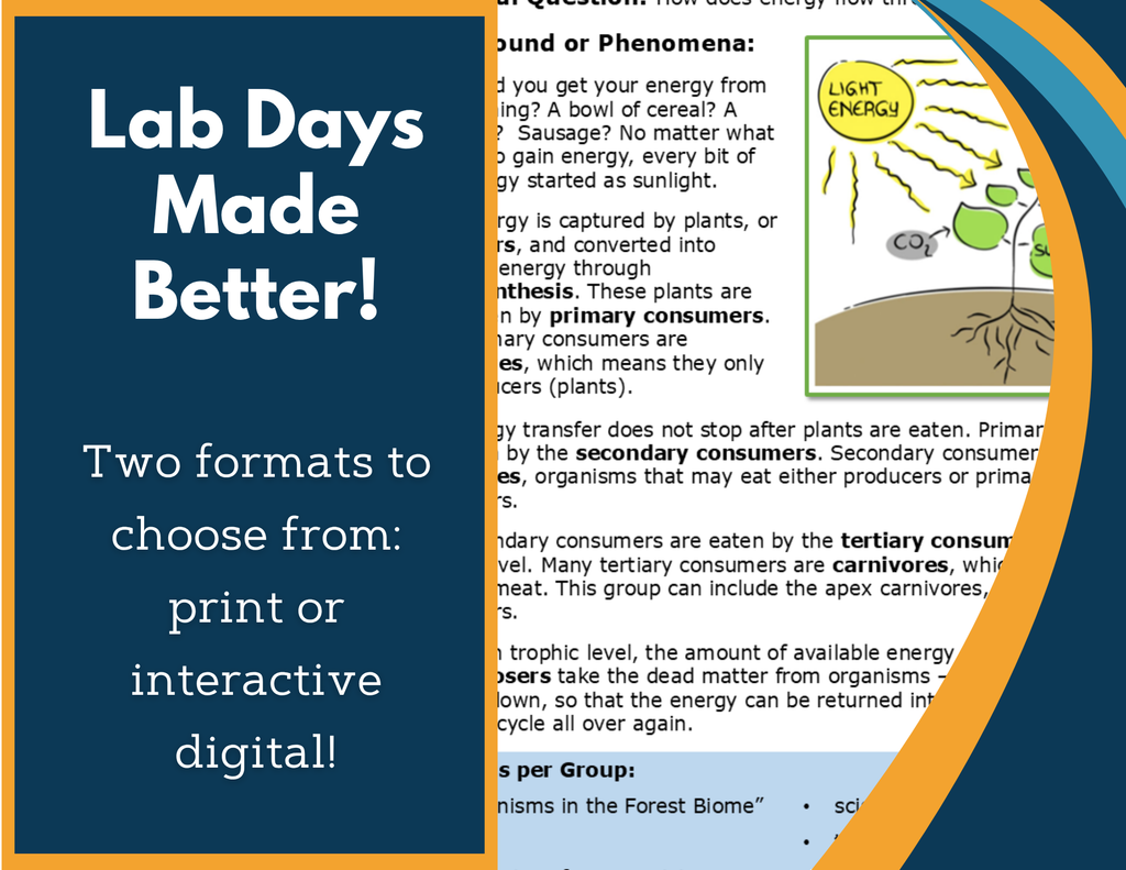 Food Webs & Energy Pyramids Digital Inquiry Lab - NGSS MS LS1-6