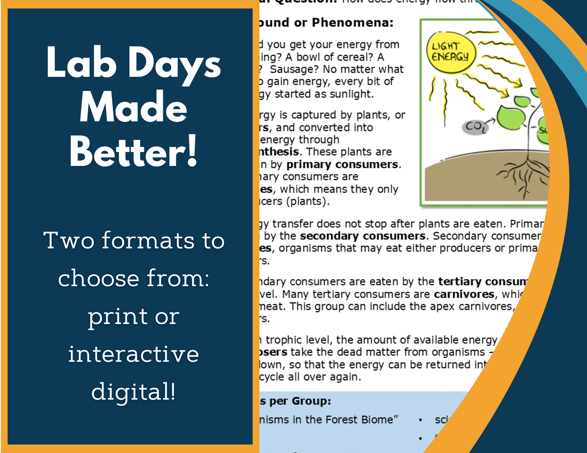 Food Webs & Energy Pyramids Digital Inquiry Lab - NGSS MS LS1-6