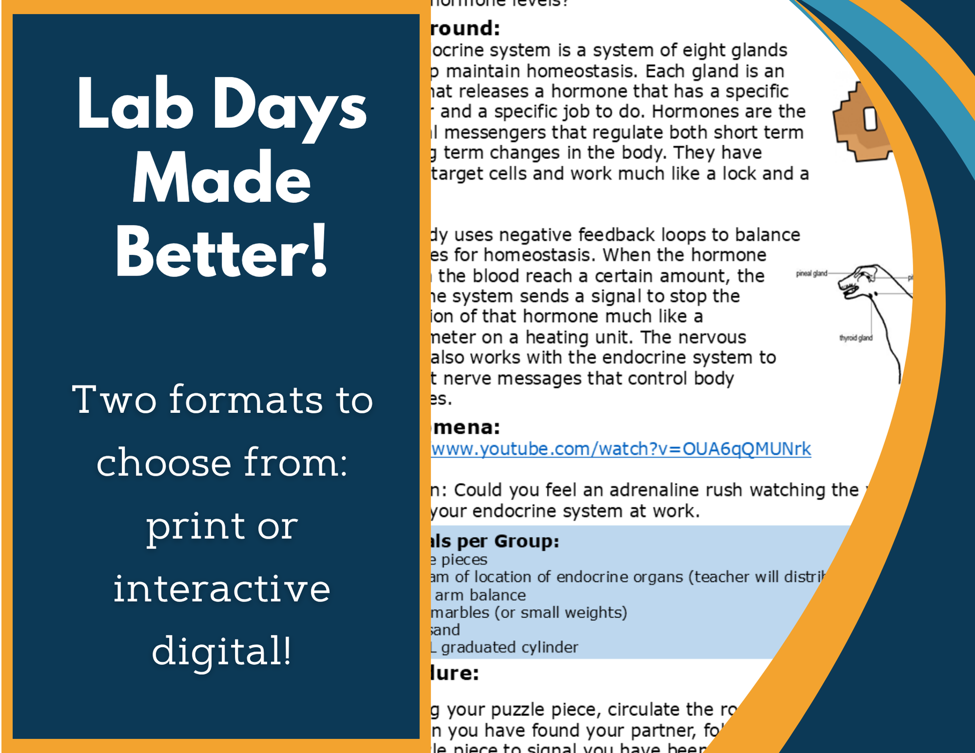 Endocrine System Digital Inquiry Lab - MS 6-8