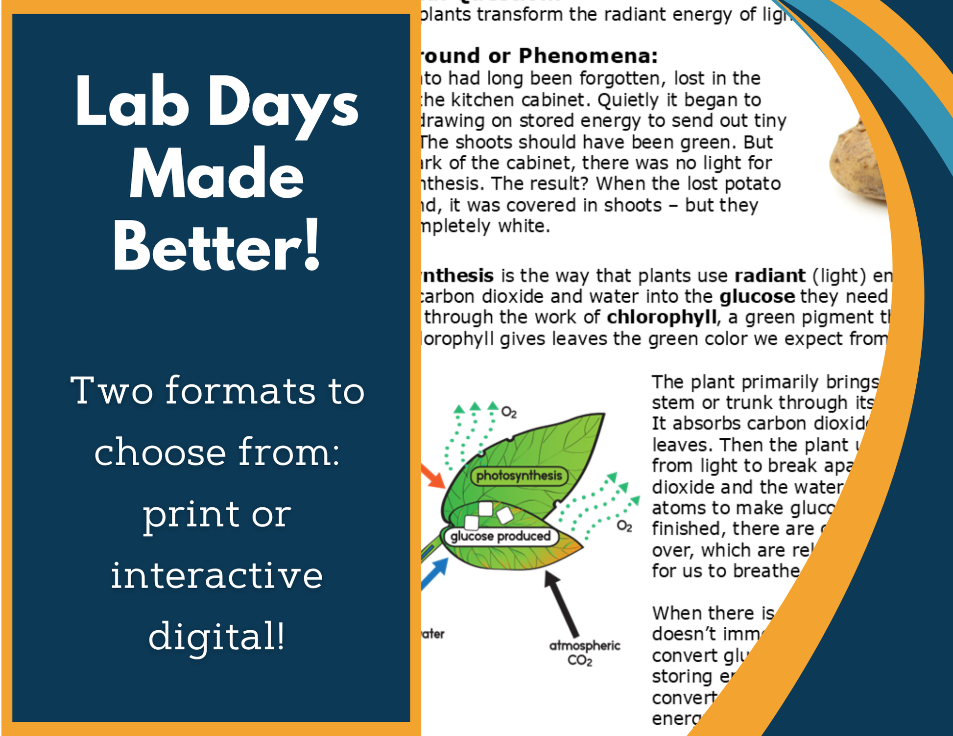Photosynthesis Digital Inquiry Lab - MS 6-8