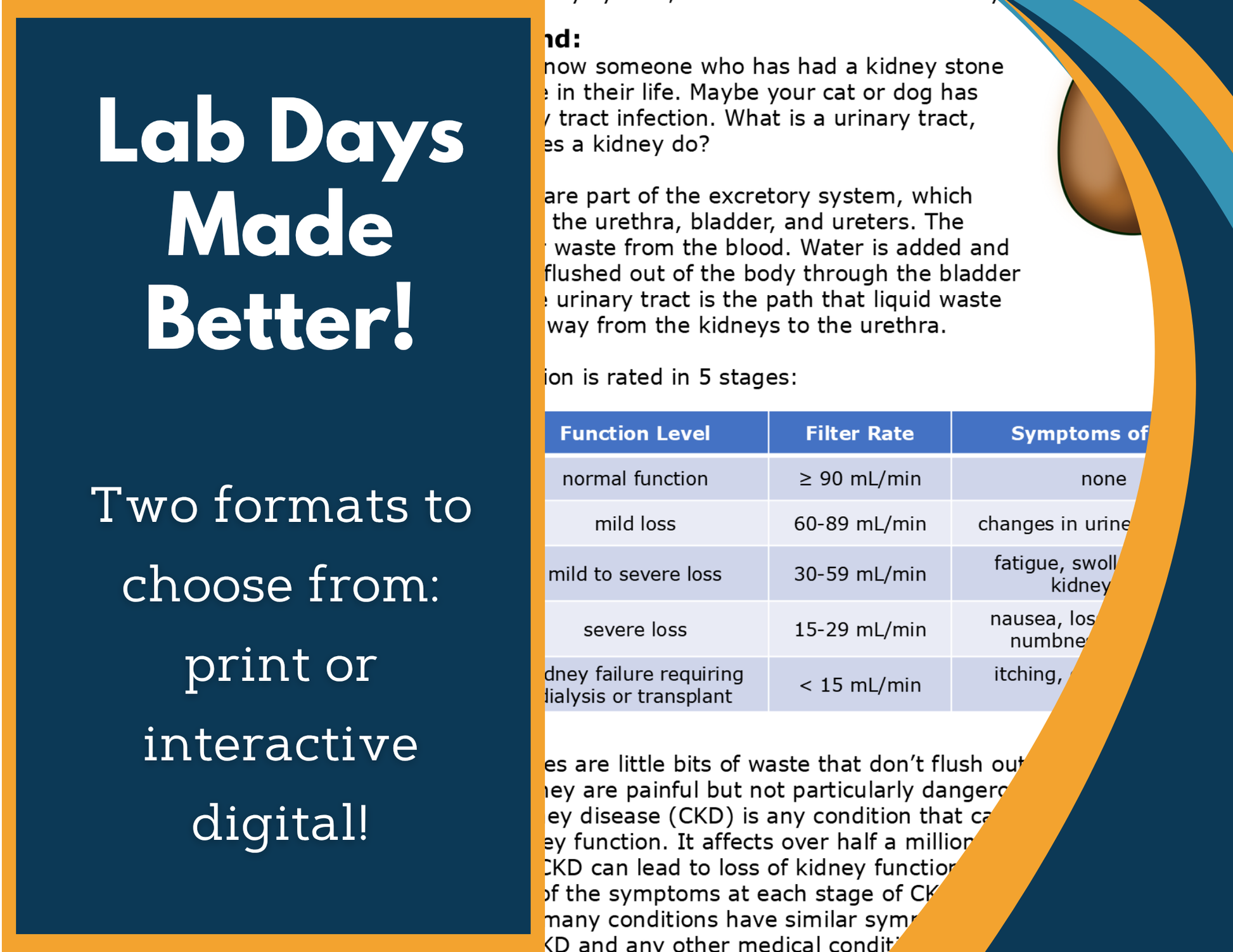 Excretory System Digital Inquiry Lab - MS 6-8