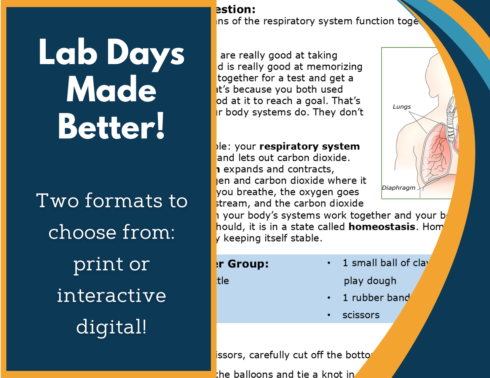 Respiratory System Digital Inquiry Lab - MS 6-8
